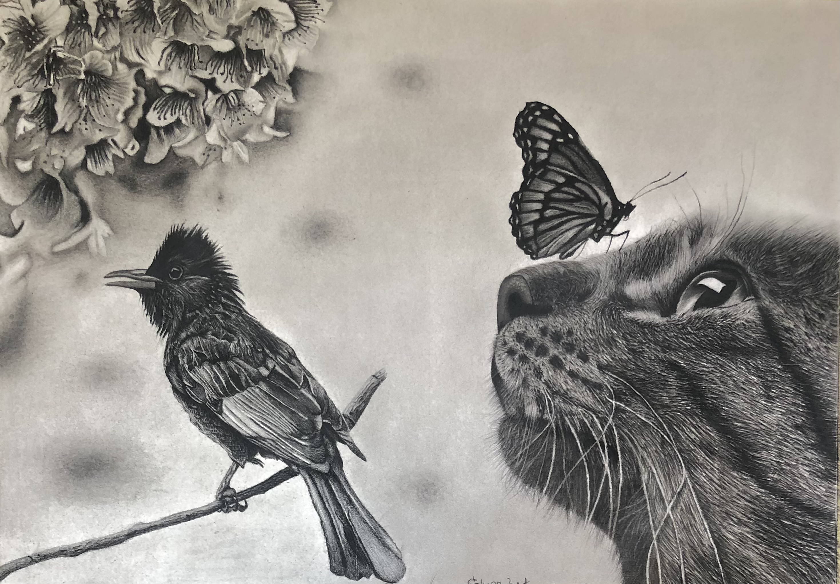 Curiosity